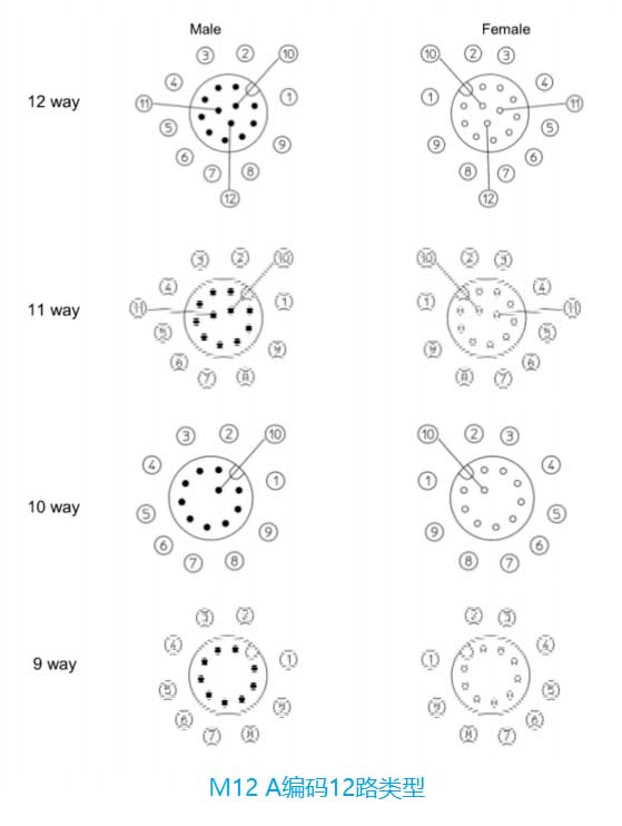 M12 circular connector A-coded 12-way and 17-way types