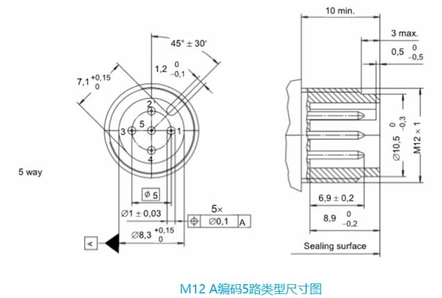 M12 circular connector A-coded 5-way type